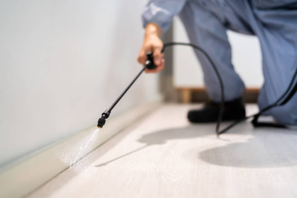 Licensed Pest Control service in Yorkshire, VA - Show Me Pest Control