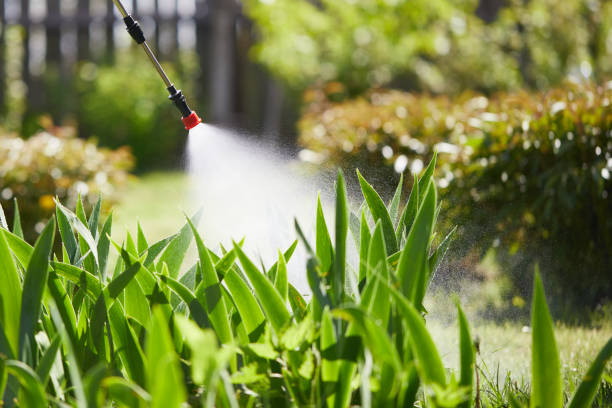 Tamper-Resistant Bait Stations for Rodents in Yorkshire
