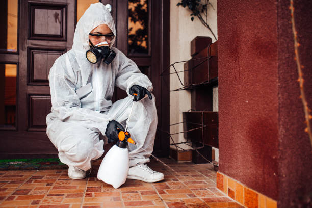 Attic and Crawl Space Rodent Treatment in Yorkshire
