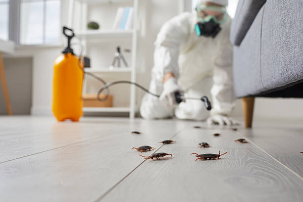 Commercial Rodent Management in Yorkshire